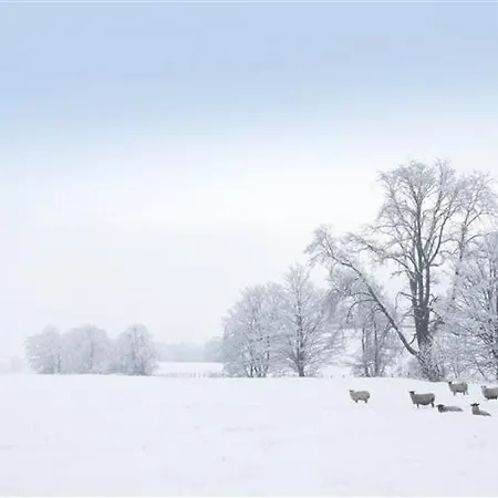 Appletree * Near Sawrey